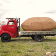 Big Spud