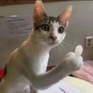 叫！！！再叫！！