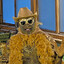 gold burt