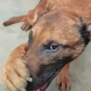 扶了你几把还导