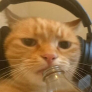 kissan korva