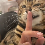 Big Avatar