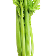 Celery, Salvation's Vegetable