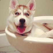 我家拉拉萌萌哒