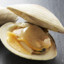 Clam
