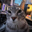 petr_Vᶠᶸᶜᵏᵧₒᵤ!