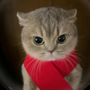 大鲤鱼蹦蹦乱蹦