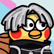 鼬先生淋雨对身体不好