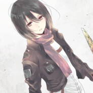 MIKASA