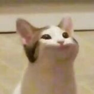 Директор пива