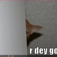 Roofio - steam id 76561197960816173
