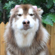 酒鬼宝宝眯眯眼