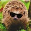 KaweedFul