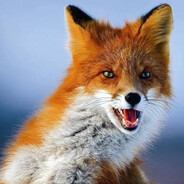 жопастЫЙ ЛИС