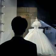 春风难度少年关