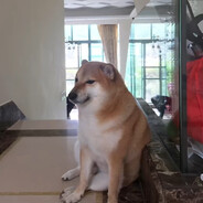 我不是马枪大王