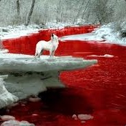 Juz wróciłem na moje stare kon