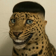 hugocolazero@bandit - steam id 76561198798919250