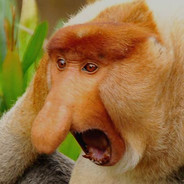 JANUSZ  ︻̿芫  一