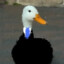 TheBusinessGoose