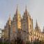 Active LDS Church Member