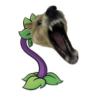 一闪一闪派大星