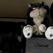 ズボン下の神、菜虚コ