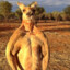 Kangaroo