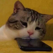 5uscriptor no disponibl3