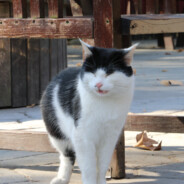 下雨天了怎么办