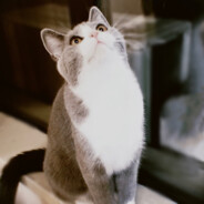 宇宙第一小行馨