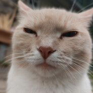 ultramegapedroanigilytor