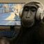 Mr_MonkeyJordan