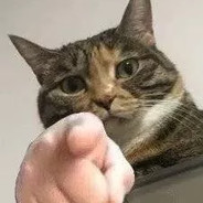 张开你被驴叼赛过的嘴