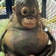 BabyGrogu