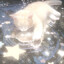 †SS† RoZz