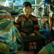 京海鱼贩高启强