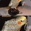 Birb