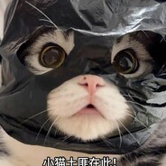顺溜