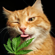 BiggieBucket420