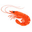 ExecutiveShrimp!