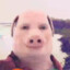 John Pork