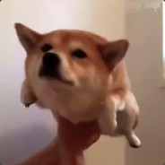 我将以高达的形态白给