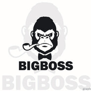 BIG BOSS avatar