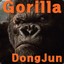 GorillaDongJun