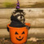 TrashPanda_36