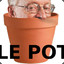 Le Pot