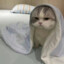 初冬
