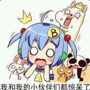 运球后卫宫城徐坤