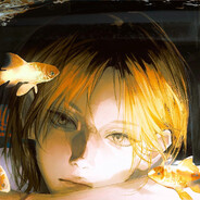 猫猫教教主felix